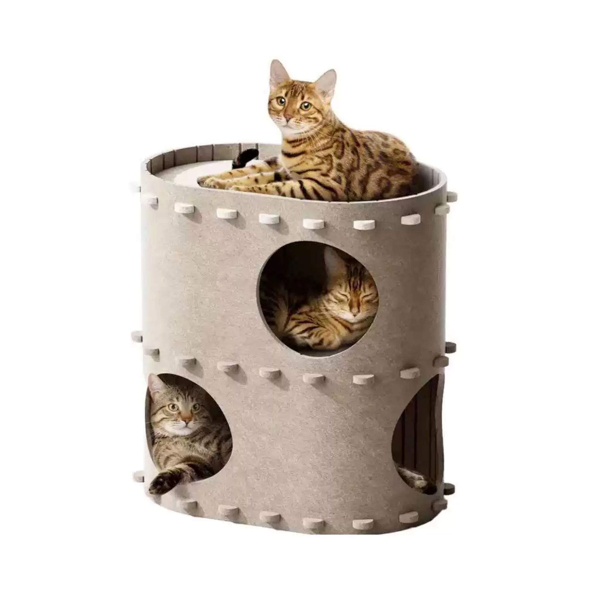 Cats resting in a camel felt cat tunnel and lounge