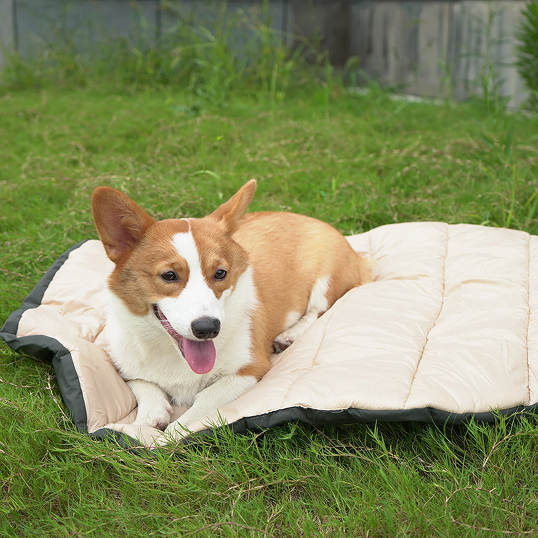 Dog resting on beige travel mat outdoors