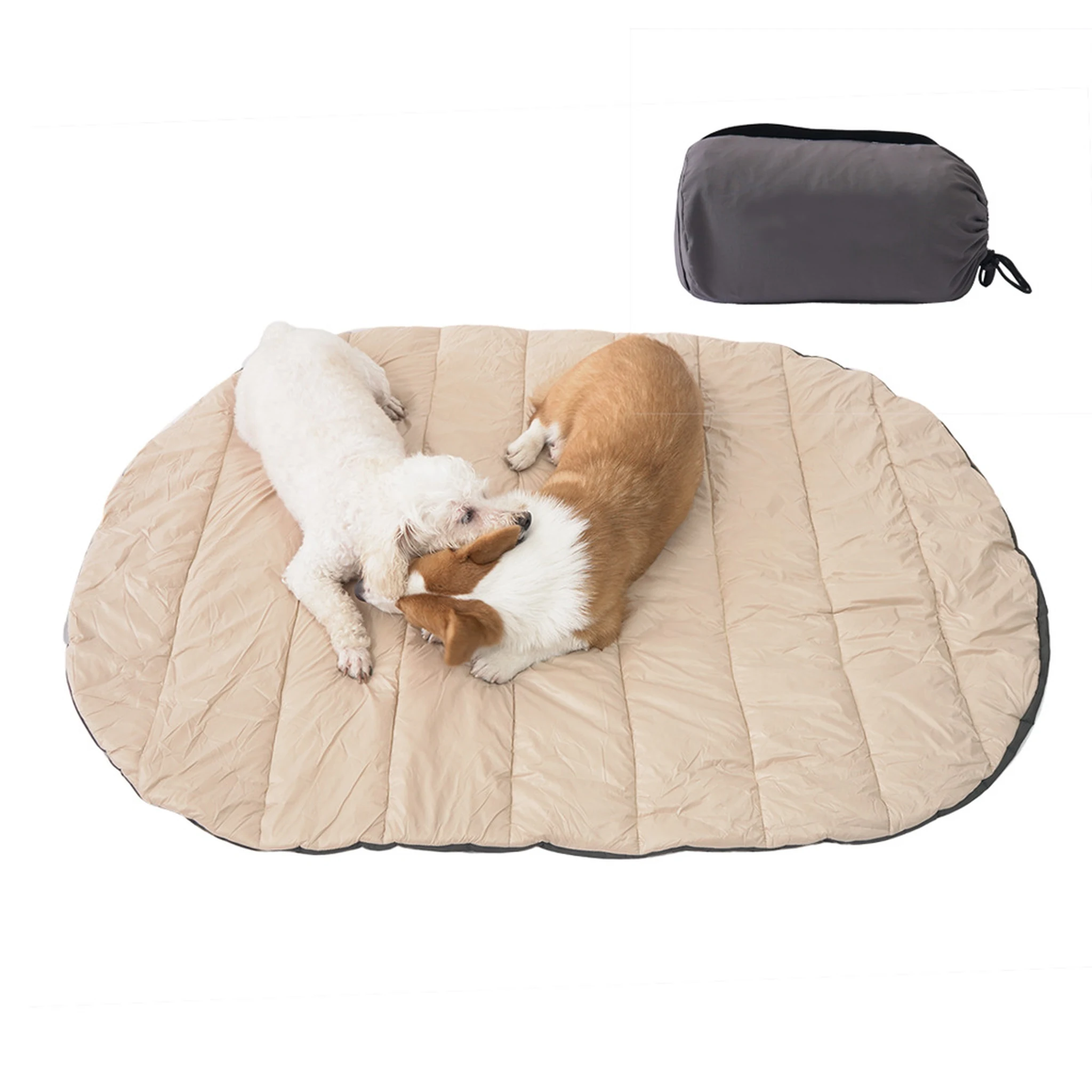 Two dogs on unfolded beige mat with grey packed form
